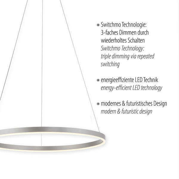 LED-Pendelleuchte Ritus Typ B - Kunststoff / Aluminium - 1-flammig - Silber