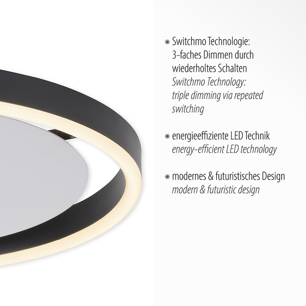 LED-Deckenleuchte Ritus Typ A - Kunststoff / Aluminium - 1-flammig - Schwarz