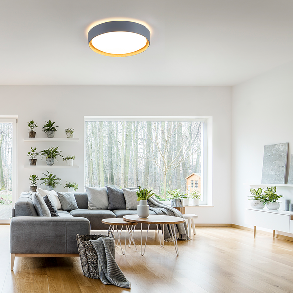 LED-Deckenleuchte Emilia - Polycarbonat - 1-flammig - Grau