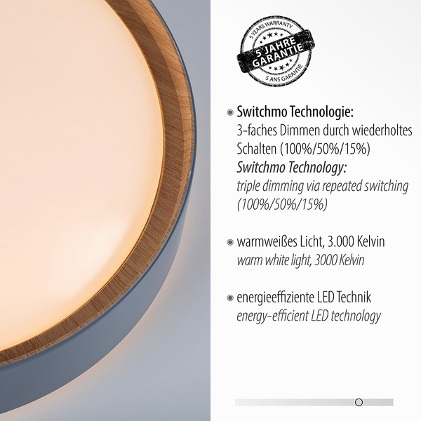 LED-Deckenleuchte Emilia - Polycarbonat - 1-flammig - Grau