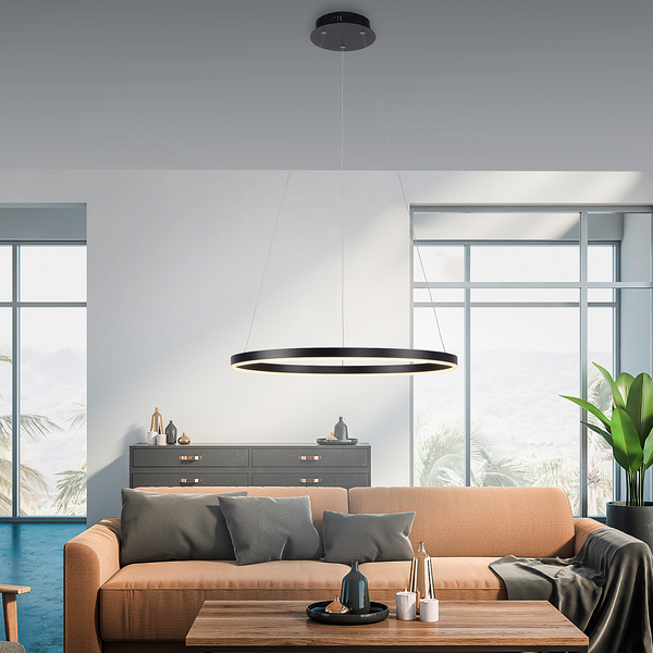 LED-Pendelleuchte Ritus Typ B - Kunststoff / Aluminium - 1-flammig - Schwarz