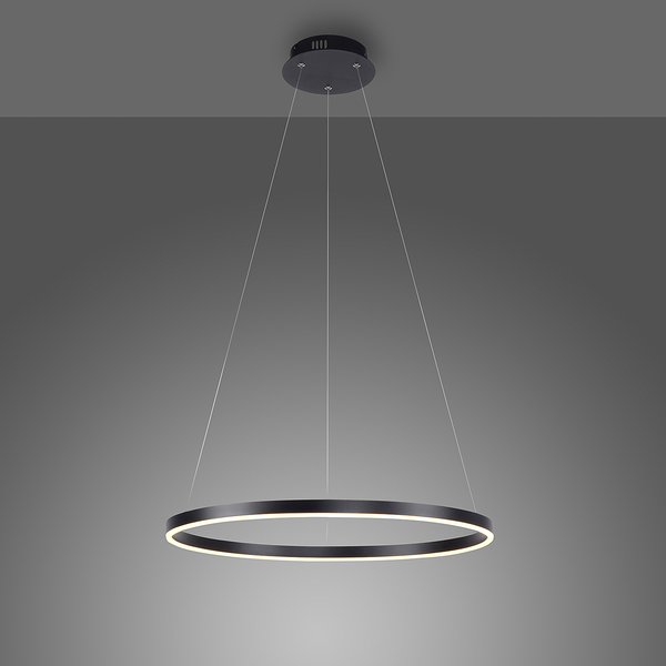 LED-Pendelleuchte Ritus Typ B - Kunststoff / Aluminium - 1-flammig - Schwarz