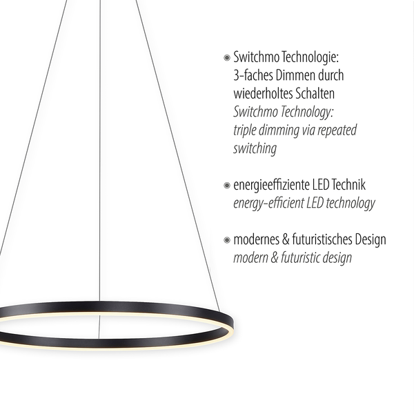 LED-Pendelleuchte Ritus Typ B - Kunststoff / Aluminium - 1-flammig - Schwarz