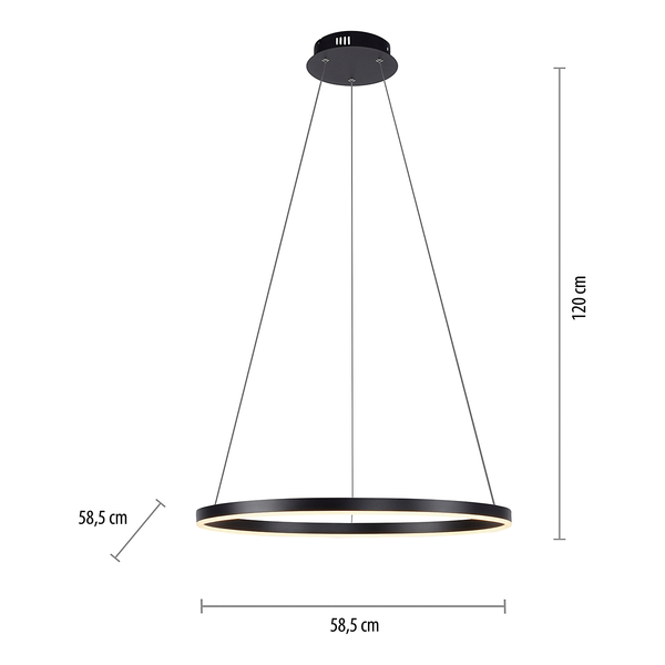 LED-Pendelleuchte Ritus Typ B - Kunststoff / Aluminium - 1-flammig - Schwarz