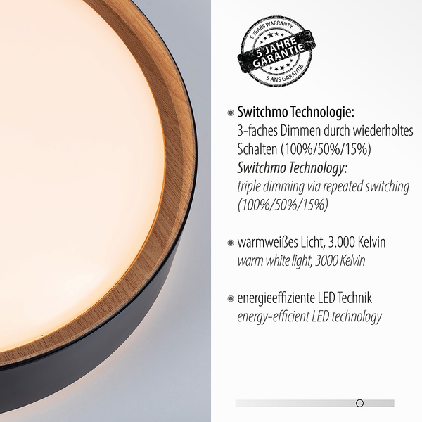 LED-Deckenleuchte Emilia - Polycarbonat - 1-flammig - Schwarz