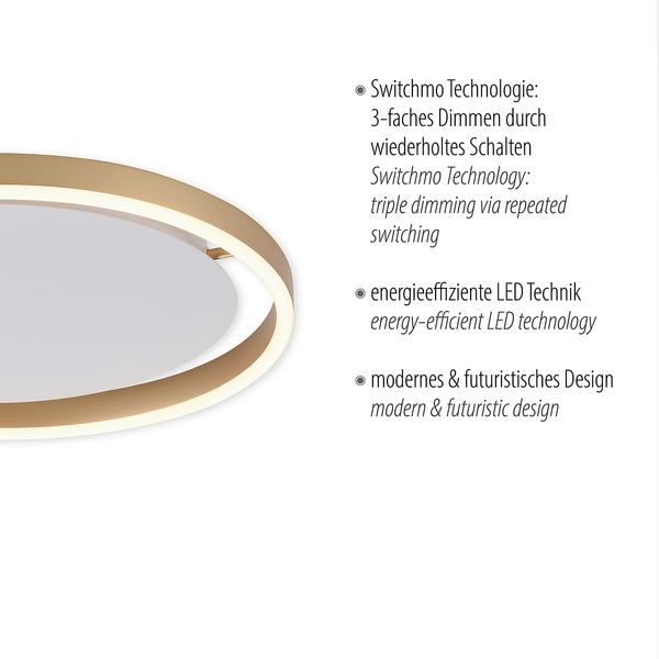 LED-Deckenleuchte Ritus Typ A - Kunststoff / Aluminium - 1-flammig - Messing