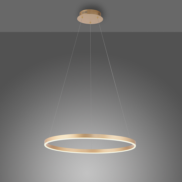 LED-Pendelleuchte Ritus Typ B - Kunststoff / Aluminium - 1-flammig - Messing