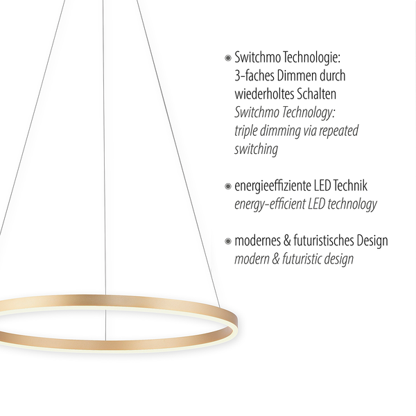 LED-Pendelleuchte Ritus Typ B - Kunststoff / Aluminium - 1-flammig - Messing