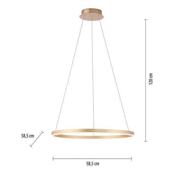 LED-Pendelleuchte Ritus Typ B - Kunststoff / Aluminium - 1-flammig - Messing