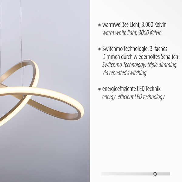 LED-Pendelleuchte Maria - Kunststoff / Aluminium - 1-flammig