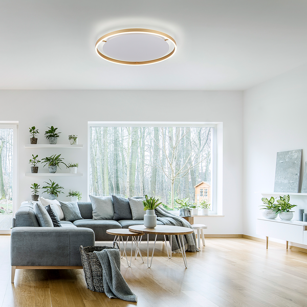 LED-Deckenleuchte Ritus Typ B - Kunststoff / Aluminium - 1-flammig - Messing
