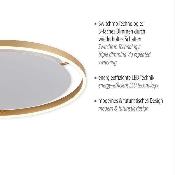 LED-Deckenleuchte Ritus Typ B - Kunststoff / Aluminium - 1-flammig - Messing