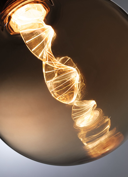 LED-Leuchtmittel Inner Glow Helix Typ A - Glas - Gold - Gold