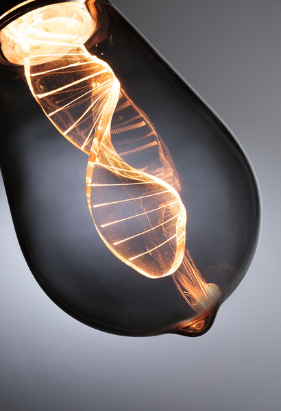 LED-Leuchtmittel Inner Glow Helix Typ C - Glas - Grau - Grau