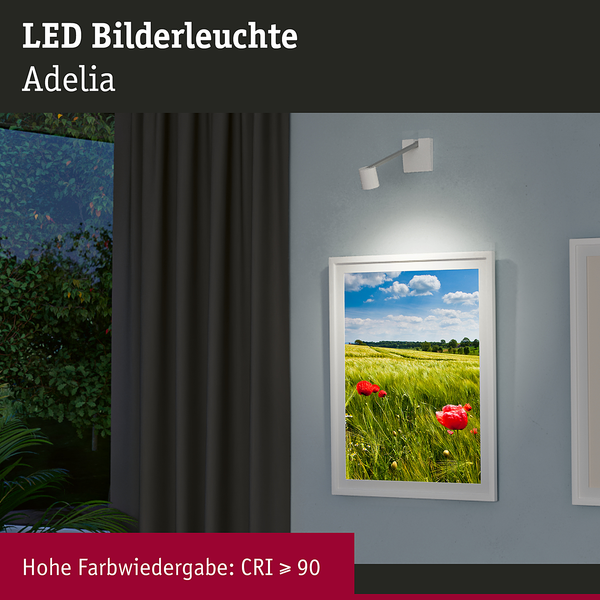 LED-Bilderleuchte Adelia - Metall / Kunststoff - Grau - 1-flammig