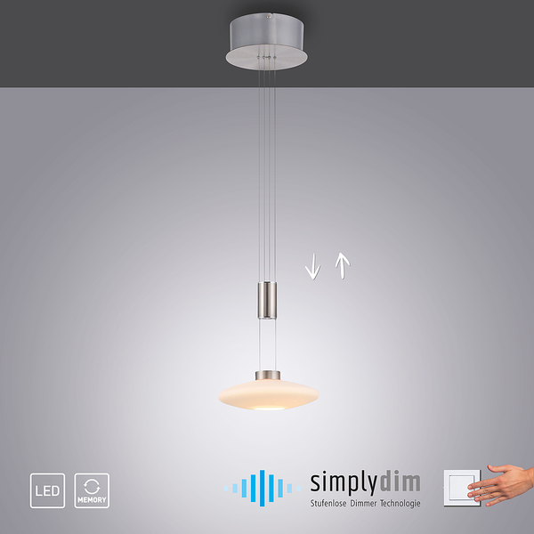 Pendelleuchte Lautada - Milchglas / Eisen, Edelstahl, Aluminium - 1-flammig - Silber