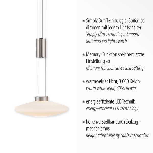 Pendelleuchte Lautada - Milchglas / Eisen, Edelstahl, Aluminium - 1-flammig - Silber