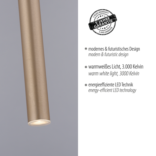 LED-Pendelleuchte Flute Typ A - Aluminium / Eisen - 1-flammig - Messing