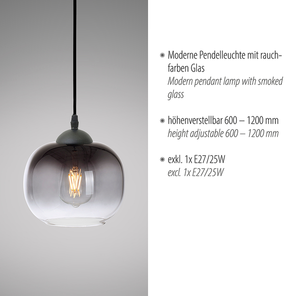 Pendelleuchte Zea Typ A - Rauchglas / Eisen - 1-flammig