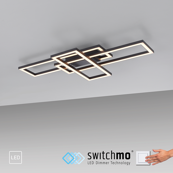 LED-Deckenleuchte Iven - Eisen / Aluminium - 1-flammig