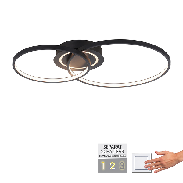 LED-Deckenleuchte Asmina - Eisen / Aluminium - 2-flammig - Schwarz