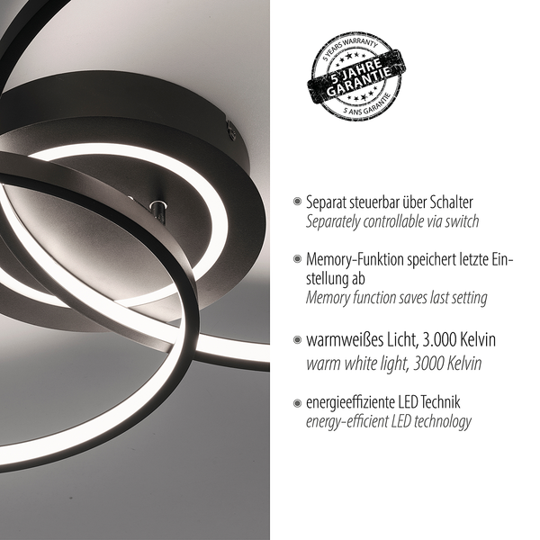 LED-Deckenleuchte Asmina - Eisen / Aluminium - 2-flammig - Schwarz