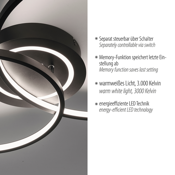 LED-Deckenleuchte Asmina - Eisen / Aluminium - 2-flammig - Schwarz