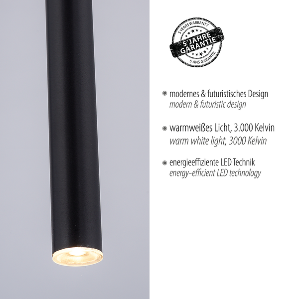 LED-Pendelleuchte Flute Typ A - Aluminium / Eisen - 1-flammig - Schwarz