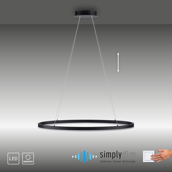 LED-Pendelleuchte Titus - Kunststoff / Aluminium - 1-flammig - Breite: 80 cm