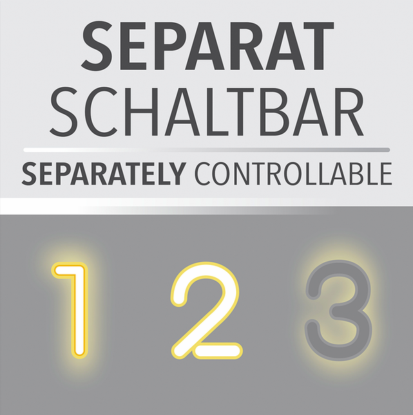 LED-Deckenleuchte Mailak Typ C - Aluminium / Eisen - 2-flammig