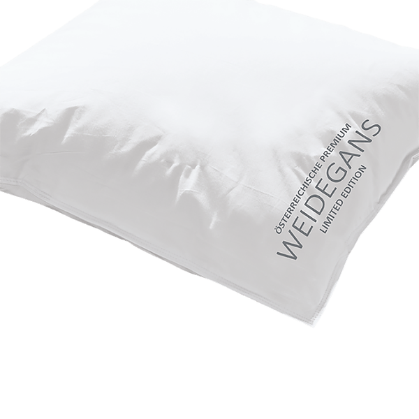 Daunenbettdecke Weidegans Warm - Baumwolle / Gänsedaunen - Weiß - 240 x 220 cm