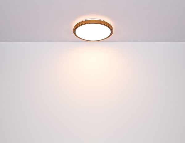 Deckenleuchte Bruno Typ A - Eisen / Acrylglas - 1-flammig - Durchmesser: 31 cm