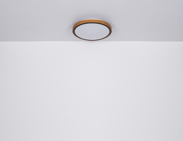 Deckenleuchte Bruno Typ A - Eisen / Acrylglas - 1-flammig - Durchmesser: 31 cm