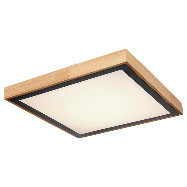 Deckenleuchte Bruno Typ B - Eisen / Acrylglas / Eiche - 1-flammig