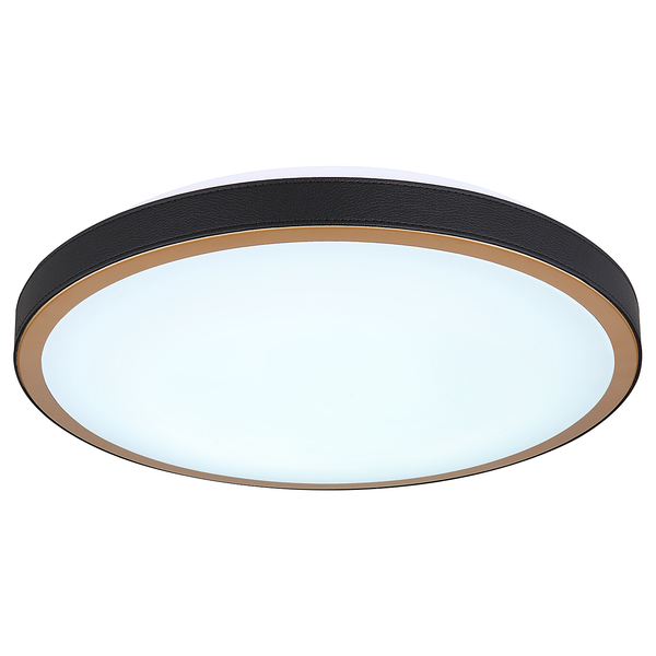 Deckenleuchte Sammi - Eisen / Acrylglas - 1-flammig - Schwarz - Durchmesser: 42 cm