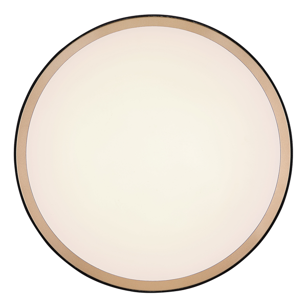 Deckenleuchte Sammi - Eisen / Acrylglas - 1-flammig - Schwarz - Durchmesser: 42 cm