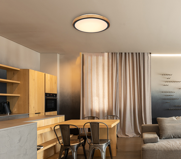 Deckenleuchte Bruno Typ A - Eisen / Acrylglas - 1-flammig - Durchmesser: 44 cm