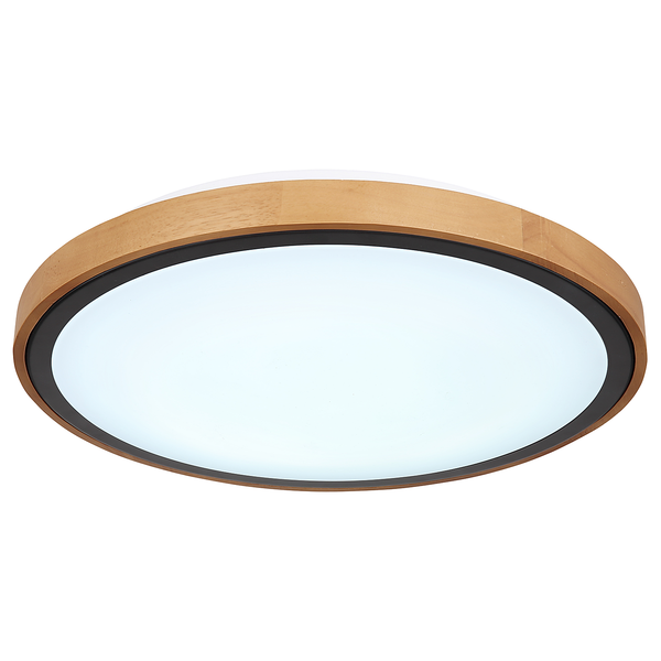 Deckenleuchte Bruno Typ A - Eisen / Acrylglas - 1-flammig - Durchmesser: 44 cm