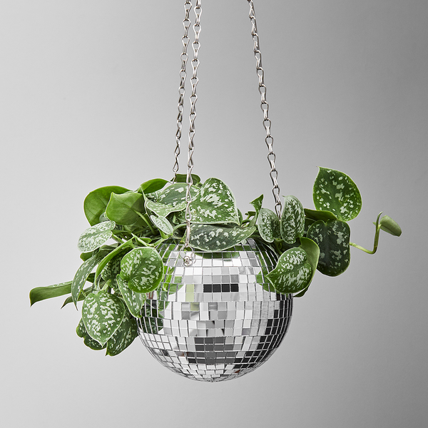 Blumenübertopf DISCO zum Hängen - Kunststoff - Durchmesser: 10 cm