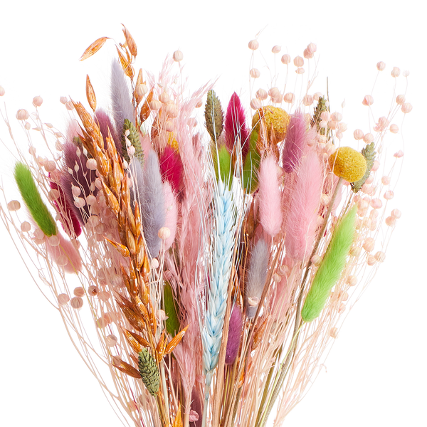 Trockenblumen FLOWER MARKET Blumenstrauß - Natur - Mehrfarbig