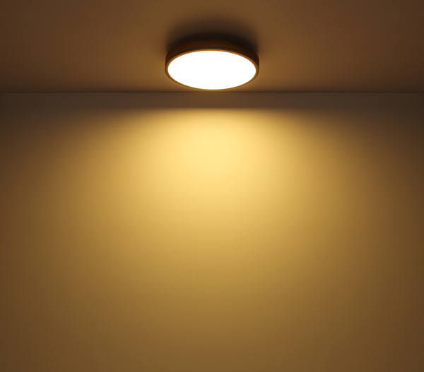 LED-Deckenleuchte Doro Typ B - Acrylglas / Eisen - 1-flammig - Durchmesser: 30 cm