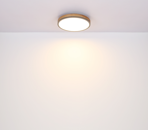 LED-Deckenleuchte Doro Typ B - Acrylglas / Eisen - 1-flammig - Durchmesser: 30 cm