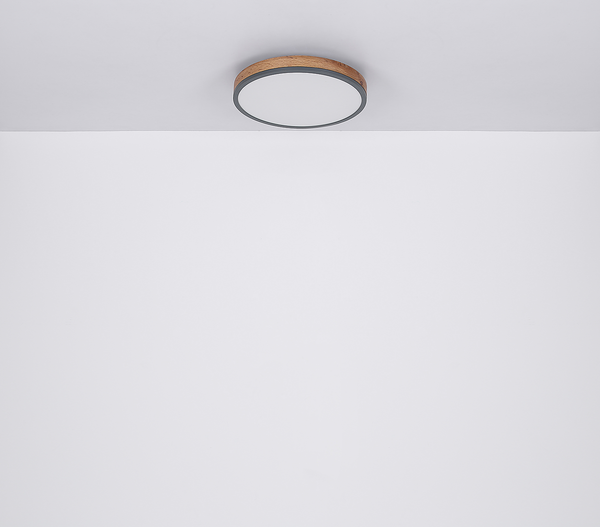 LED-Deckenleuchte Doro Typ B - Acrylglas / Eisen - 1-flammig - Durchmesser: 30 cm