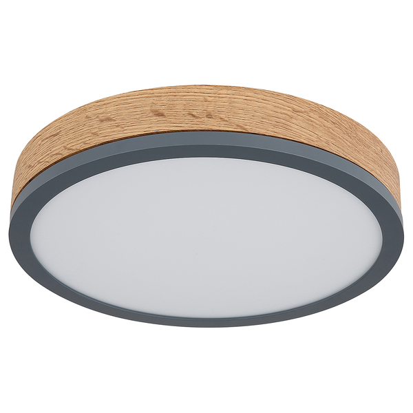 LED-Deckenleuchte Doro Typ B - Acrylglas / Eisen - 1-flammig - Durchmesser: 30 cm