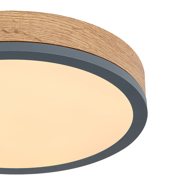 LED-Deckenleuchte Doro Typ B - Acrylglas / Eisen - 1-flammig - Durchmesser: 30 cm