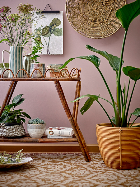 Krug Begonia Typ A - Keramik - Grün