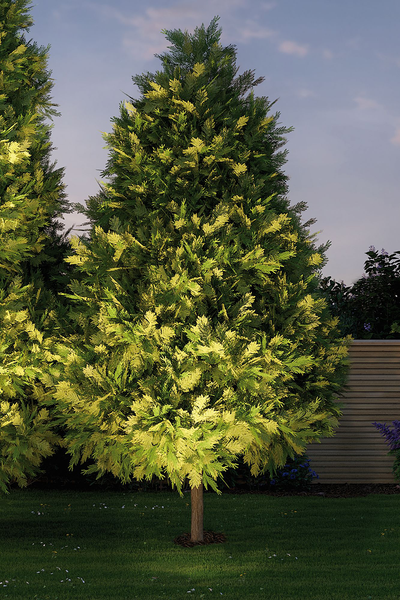 Einbauleuchte Plug & Shine Arma - Aluminium - Silber