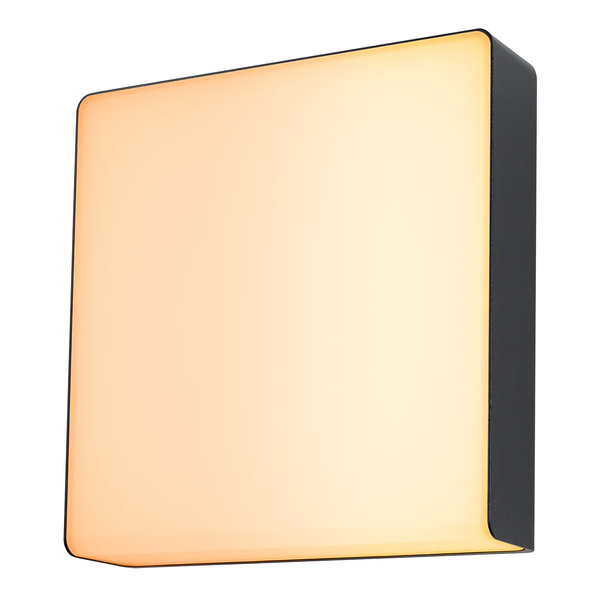 Wandleuchte Azalena mit Sensor - Aluminium - Anthrazit - Warmweiß