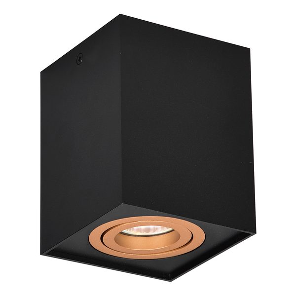 Deckenleuchte Biscuit - Eisen - 1-flammig - Schwarz