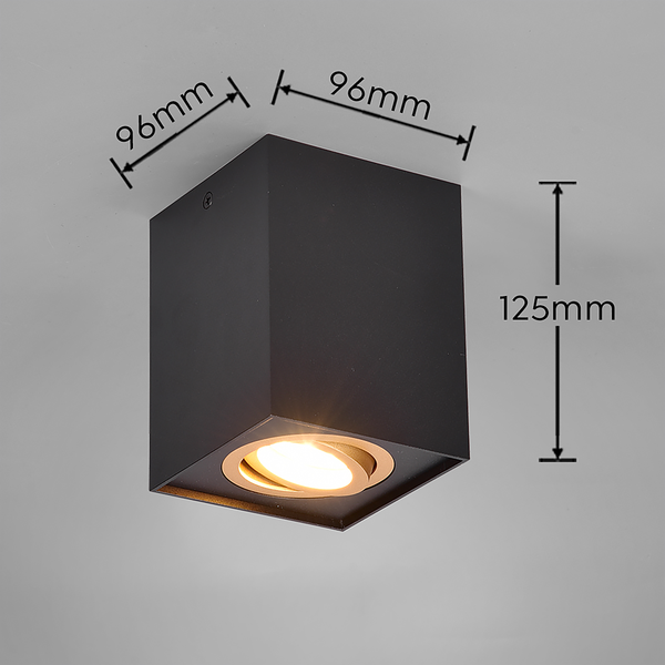 Deckenleuchte Biscuit - Eisen - 1-flammig - Schwarz